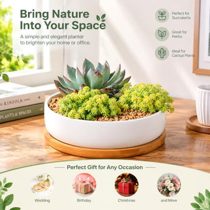 Lawei 3 Pack 6 Inch Round Ceramic Succulent Planter Pots with Drainage and Bamboo Trays, Shallow Cactus Plant Pots for Indoor Plants, Modern White Flower Bowl Planters for Desktop Window Decor