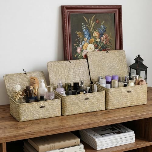 Nonam Wicker Storage Basket with Lid,Seagrass Shelf Basket Set of 3,White - color: Standard White* Set of 3