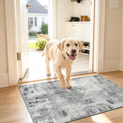 Kelarea Washable Entryway Rug 2x3, Non-Slip Low Pile Abstract Grey - color: Light Grey, size: 2' x 3' (Rectangular)