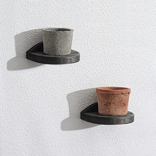 Freezing point Small Floating Shelves for Wall Set of 2 Semicircle Wood 4Inch Mini Wall Shelf Decor Plant Display Collectibles Mounted Kitchen Bathroom Bedroom Corner Decorative Storage Tiny Stand