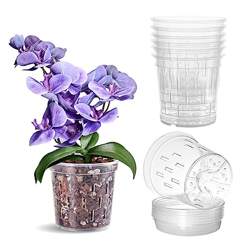 TRUEDAYS Orchid Pot with Saucers, 6 Pack 5 Inch Plant Pot with Drainage - size: 5Inch-6Pack with 6 Saucers