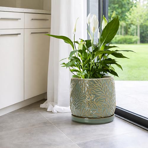 D'vine Dev Embossed Leaves Ceramic Planter, 8 in, Olive, 27-A-Q-0 - color: Olive, size: 8 Inch