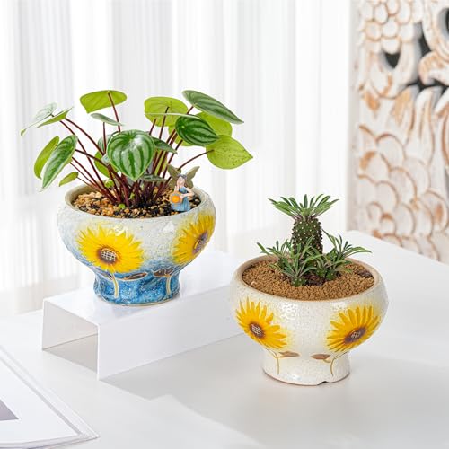 Sungmor Small Succulent Planters Set of 2, Beautiful Hand Crafted Ceramic Plant Pots Cute Cactus Pot, 6.5 Inch Flower Pots for Indoor Plants with Drainage, Desktop Windowsill Home Office Decor Pots - color: Style-e (Dia.: 6.9inch & H: 4.3inch)
