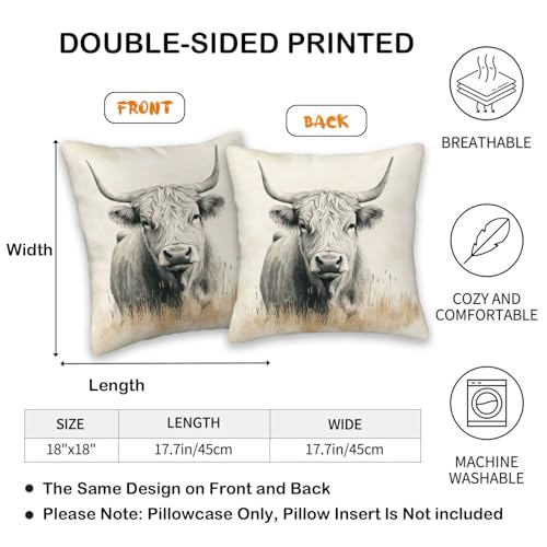 Highland Cow Horse Throw Pillow Covers 18x18 Set of 2, Rustic Farm Animal Decorative Pillow Cases for Couch Sofa Bed Living Room Bedroom Country Home Decor - color: Cow Horse