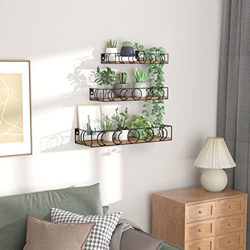 PHAREGE Moon Phase Floating Shelves Brown Black Set of 3 - color: Brown Black