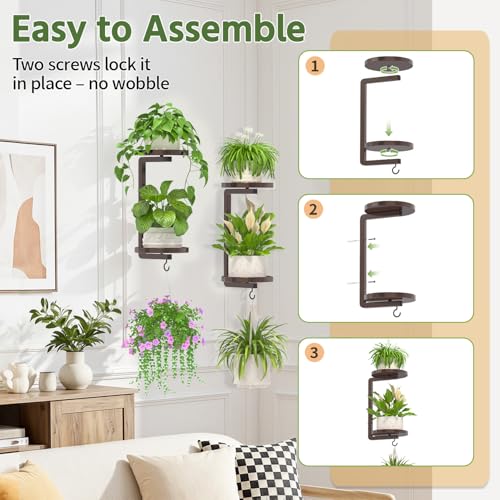 LASZOLA Plant Hanger Holder Window Shelf Wall Mounted Indoor, 2 Pcs Bronze - color: Classic Bronze, size: 2