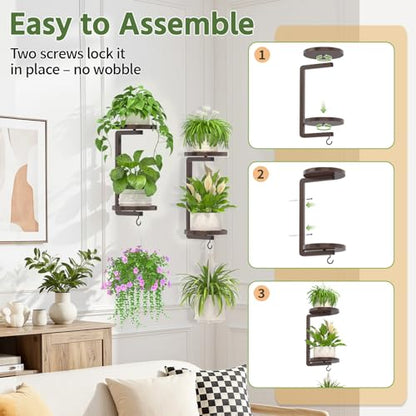 LASZOLA Plant Hanger Holder Window Shelf Wall Mounted Indoor, 2 Pcs Bronze - color: Classic Bronze, size: 2