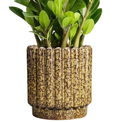 Ceramicfor Ceramic Planter, 7.6 Inch, Yellow - color: Leopard Print Yellow, size: 7.6 Inch