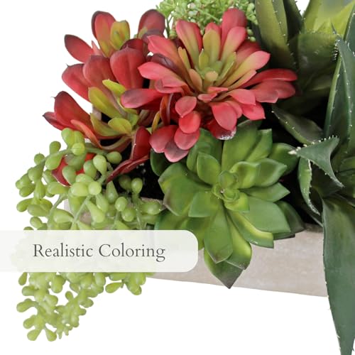 CG Hunter, Oblong Faux Succulent Arrangement, 27 in, Natural, Home Decor - size: 27" Oblong Natural