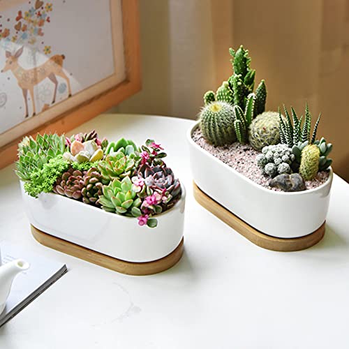 White Ceramic Succulent Plant Pots, Indoor and Outdoor Succulent Planters, Set of 2 Small Cactus Containers, Bonsai Pots, Flower Pots with Drainage Hole and Bamboo Bowl (No Plant) - color: Oval-shaped