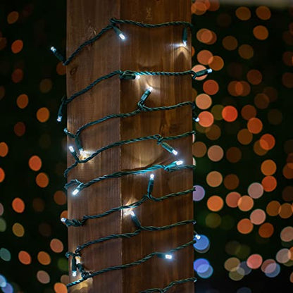 Novelty Lights 35 LED Christmas Mini Light Set, Pure White, 13.5 Feet - color: Pure White
