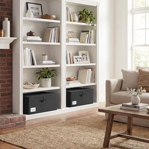 GRANNY SAYS Extra Large Storage Bins with Lids, Closet Bins, Black - color: Black, size: Extra Large - 2 Pack