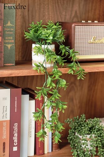 2 Pack Fake Hanging Plants, Faux Eucalyptus Vine Fern and String of Pearls - color: Hangingb-2pcs