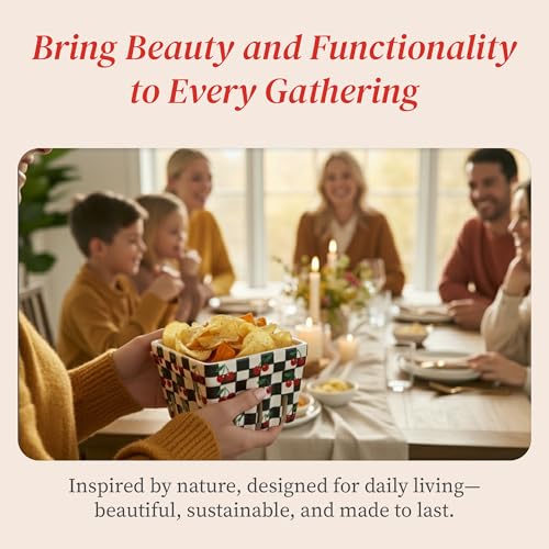 BIEN BEAU Ceramic Berry Baskets Set of 4, Checkered Berry Colander - color: Black