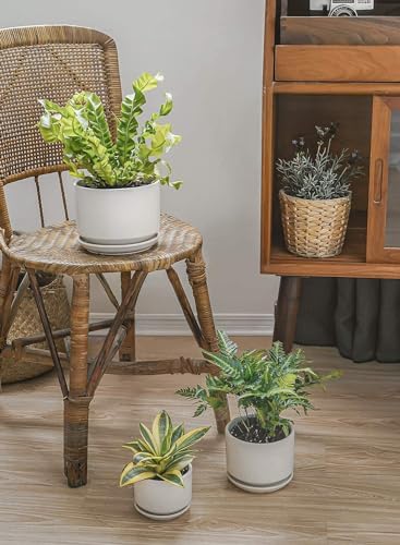 LE TAUCI Ceramic Pots for Plants, 4.3+5.3+6.8 Inch, Set of 3, White - color: White, size: 4.3"+5.3"+6.8"