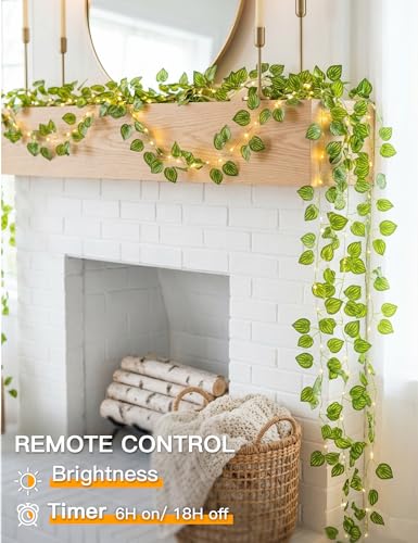 suddus 33FT Watermelon Vines with Lights Battery&USB Powered Copper Wire - color: Watermelon, size: 100 LED-Battery