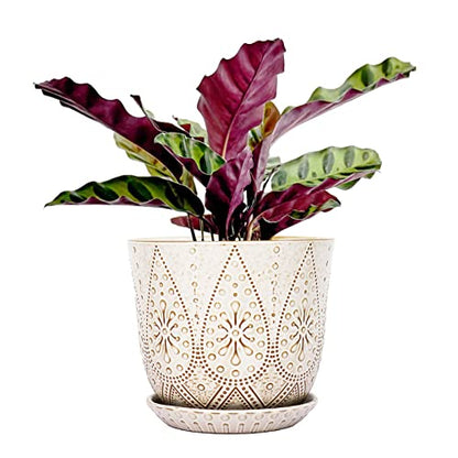 Gepege 8 Inch White Ceramic Plant Pot with Drainage & Saucer - color: Cream White, size: 8 Inch