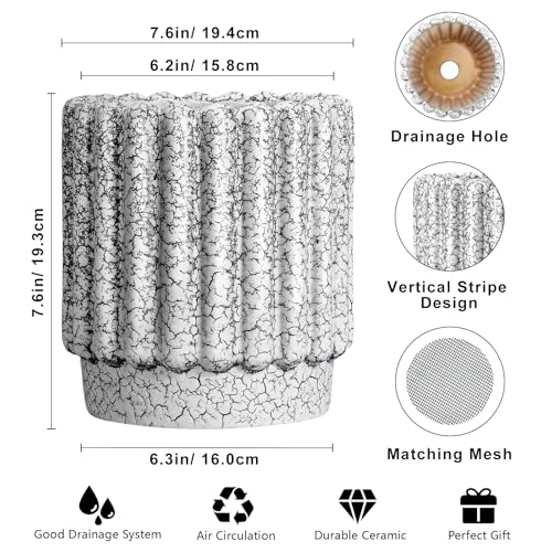 Ceramicfor Ceramic Planter, 7.6 Inch, Black and White - color: Black and White, size: 7.6 Inch