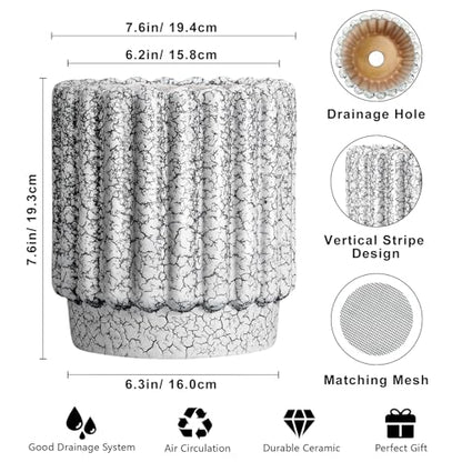 Ceramicfor Ceramic Planter, 7.6 Inch, Black and White - color: Black and White, size: 7.6 Inch