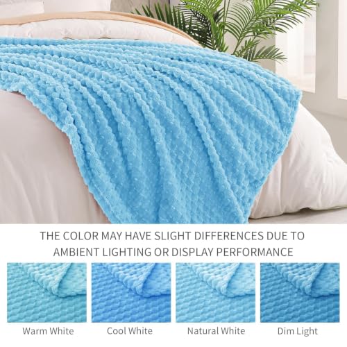 Exclusivo Mezcla 3D Fleece Queen Size Blanket for Bed, Blue - color: Blue, size: Queen ( 90x90 IN )