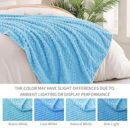 Exclusivo Mezcla 3D Fleece Queen Size Blanket for Bed, Blue - color: Blue, size: Queen ( 90x90 IN )
