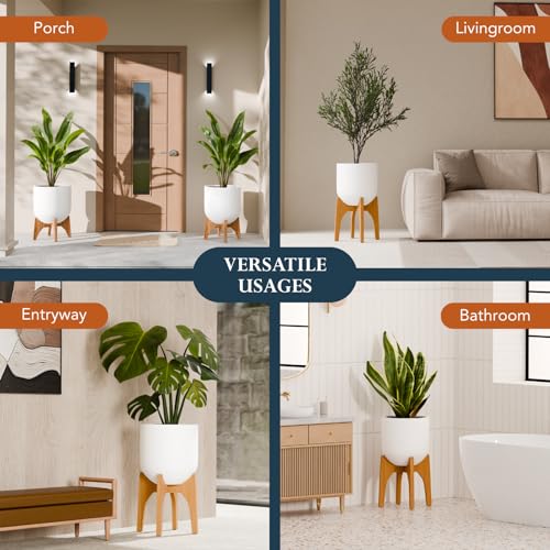 KUTE NEST 13" H x 14.8" W Acacia Solid Wood Plant Stand - Golden Teak - color: Golden Teak, size: High - Small - 13"H x 14.8"W