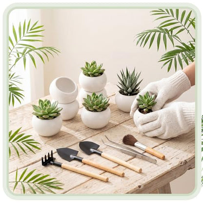 24 Pack 2.5 Inch Small Succulent Pots, White, Classic - style: Classic