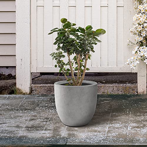 Kante Large Round Curved Pale Gray Concrete Planter 16.5" Dia, Outdoor - color: Natural Concrete, size: 16.5"d
