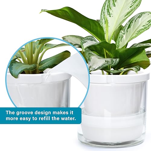 D'vine Dev Self-Watering White Terracotta Planter Pot, 10 in, 37-X-D-2 - color: White, size: 10 Inch