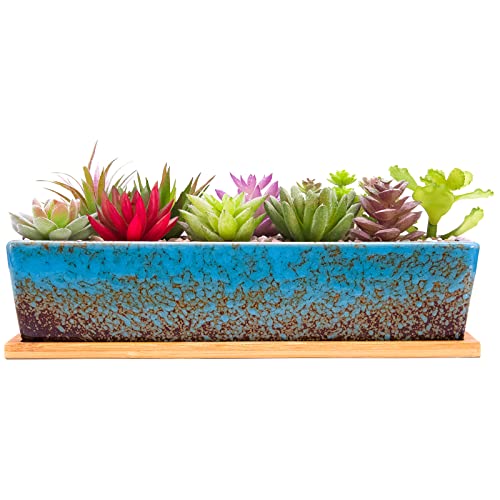 Succulent Pots - 12.1 Inch Large Succulent Planters Pots with Drainage Tray - color: Blue