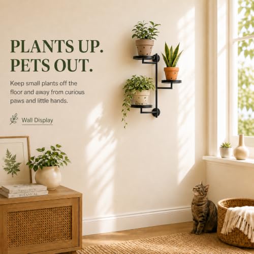 Window Plant Shelf, Wall Mounted Rotating Plant Holder Indoor