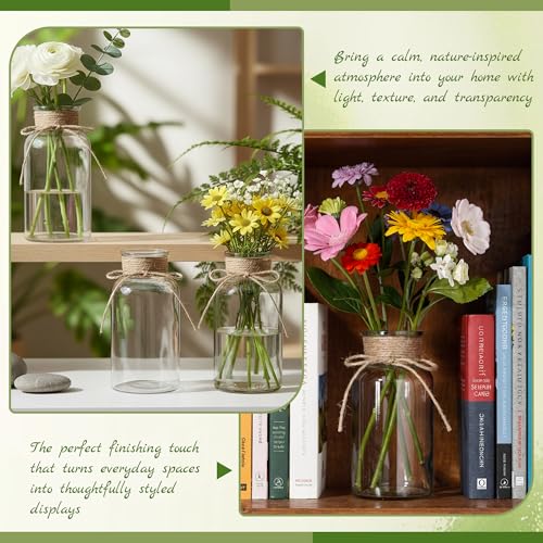 Mason Jar Glass Vases 6 Pack, Clear Flower Vase for Centerpieces - color: Transparent