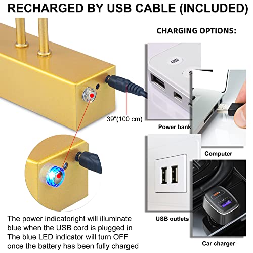 HEAGEERO Picture Lights for Wall,16in Gallery Light,5000mAh Art Light - color: Gold-16"