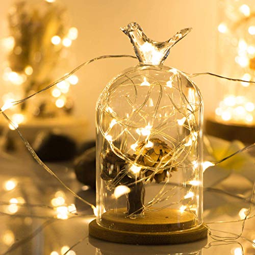 ANJAYLIA Fairy Lights, 10ft 30 LED Mini String Lights Battery Operated Firefly Starry Lights for Wedding, Bedroom, Party, Christmas, Warm White 2 Pack - color: Warm White 2 Pack 30 LED