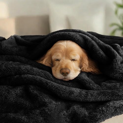 Exclusivo Mezcla Fuzzy Plush Fleece Bed Blanket King Size, Black - color: Black, size: 104x90 IN