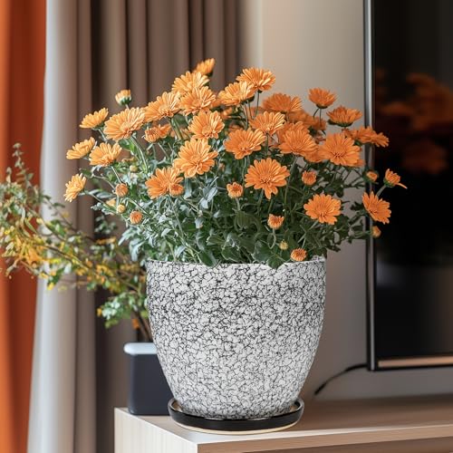 Ceraimc Plant Pot - 8 Inch Planter with Drainage and Saucer, Modern Round Planter, Flower Pot for Indoor Outdoor Plants, Home Room Garden Apartment Decor, Gifts for Plant Lovers, White-Black - color: Black-wood Crack, size: 8 Inch