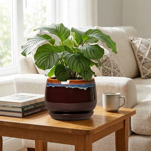 9 Inch Flower Pots - Ceramic Planter with Drainage Hole and Saucer, Decorative Ceramic Pots for Indoor Plants, Round Plant Pot, Garden Home Living Room Decor, Housewarming Gifts, Brown-Blue - size: 9 Inch, style: Brown-blue