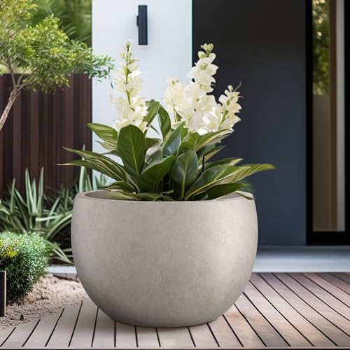 Kante Large Round Bowl Weathered Concrete Planter 20" Dia, Outdoor - color: Weathered Concrete, size: 19.9" d
