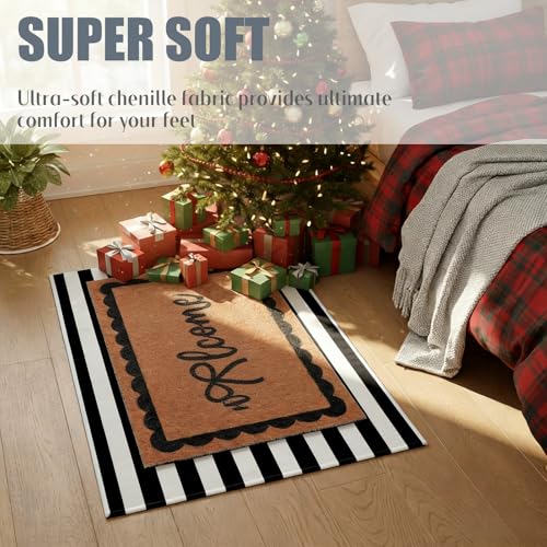 Tinideya 2 Pcs Black and White Outdoor Mat Stripe Front Door Welcome Mat - color: Black,white