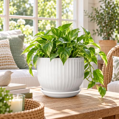 8 Inch Ceramic Plant Pot,White - color: Pure White, size: 8 Inch(1 PCS)
