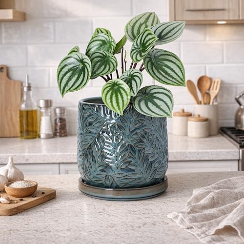 D'vine Dev Embossed Leaves Ceramic Planter, 6 in, Ocean Teal, 27-A-X-8 - color: Ocean Teal, size: 6 Inch