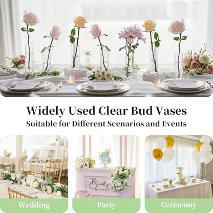 Glasseam Cylinder Bud Vases in Bulk 24: Clear Small Glass Vases for Flowers