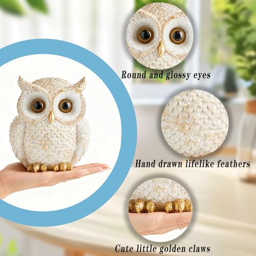 Baitiane Owl Statue Home Decor, Owls Figurine for Bookshelf - color: White