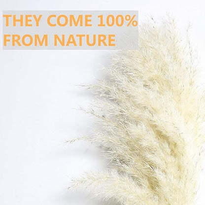 10 PCS Beige Pampas Grass Decor, Naturally Dried Pompas, Bunny Tails Dried Flowers, and Dried Eucalyptus. Perfect for Weddings, Boho Party Decorations, and Table Decor(17inch) - size: 10PCS-17inch