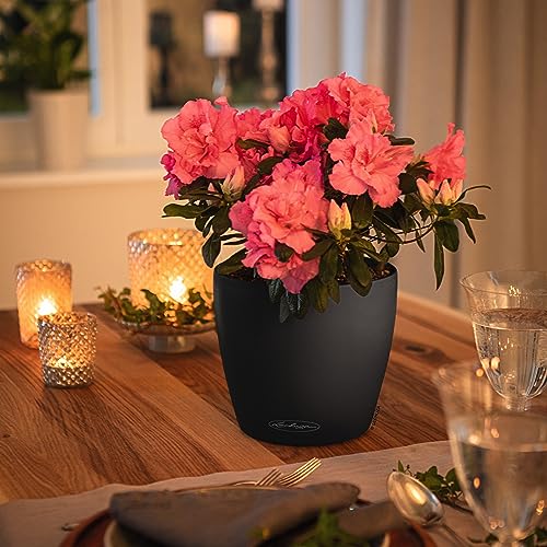 Lechuza Classico Color 21 Slate, Self-Watering Small Round Planter, D8.3 H7.9 in - color: Slate Matte, style: 21