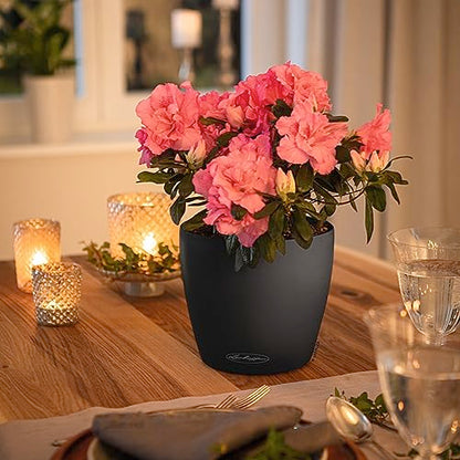 Lechuza Classico Color 21 Slate, Self-Watering Small Round Planter, D8.3 H7.9 in - color: Slate Matte, style: 21