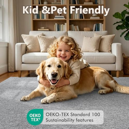 5x7 Grey Area Rug Washable Non-Slip Soft Thin for Living Room Bedroom - color: 09 Grey, size: 5' x 7' (Rectangular)