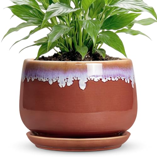 Ceramic Pots for Plants 7 Inch, Ceramic Planters, Red-Purple - size: 7 Inch, style: Red-purple