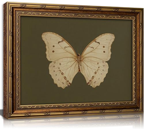Vintage Gold Framed Wall Art Retro White Butterfly Canvas Print Dark Green Olive Insect Painting Picture Rustic Farmhouse Moth Cottagecore Poster Artwork for Living Room Bedroom - color: Green Butterfly, size: 11"L x 9"W