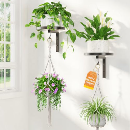 LASZOLA Plant Hanger Holder Wall Indoor with Macrame Hangers, 2 Pcs Black - color: Deep Black, size: 2